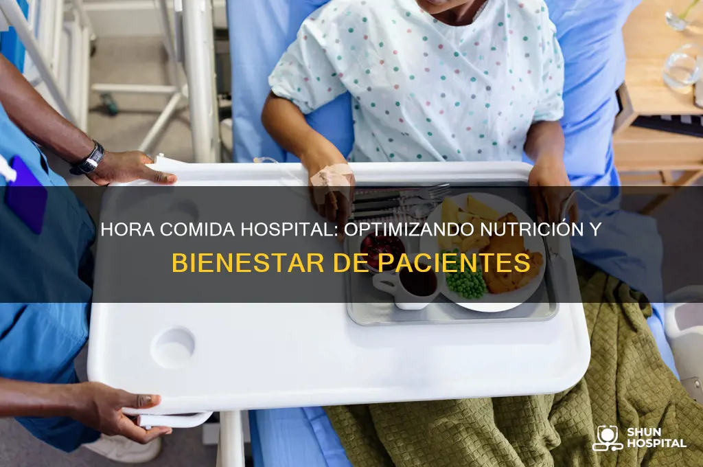 hora comida hospital