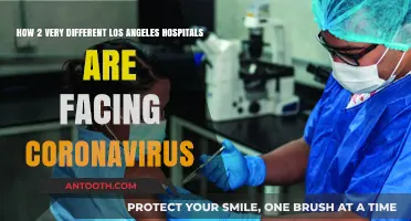 LA's Diverse Hospitals: Contrasting Battles Against Coronavirus Pandemic