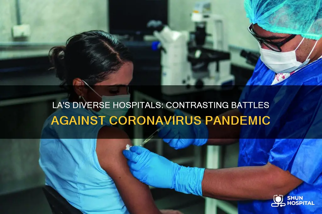 how 2 very different los angeles hospitals are facing coronavirus