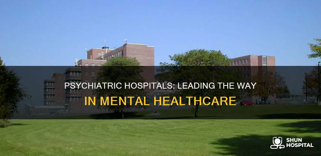 how a leading chain of psychiatric hospitals