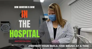 Abortion Procedures: What to Expect in the Hospital