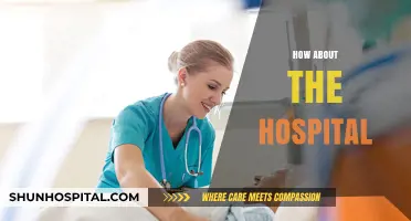 Exploring Hospital Experiences: Quality, Care, and Patient Perspectives Revealed