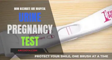 Urine Pregnancy Tests: Are Hospital Results Accurate?