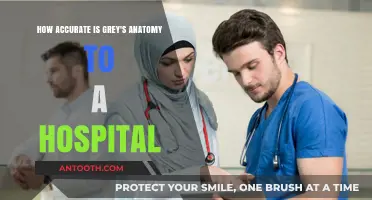 Grey's Anatomy vs. Reality: How Accurate is the Hospital Drama?