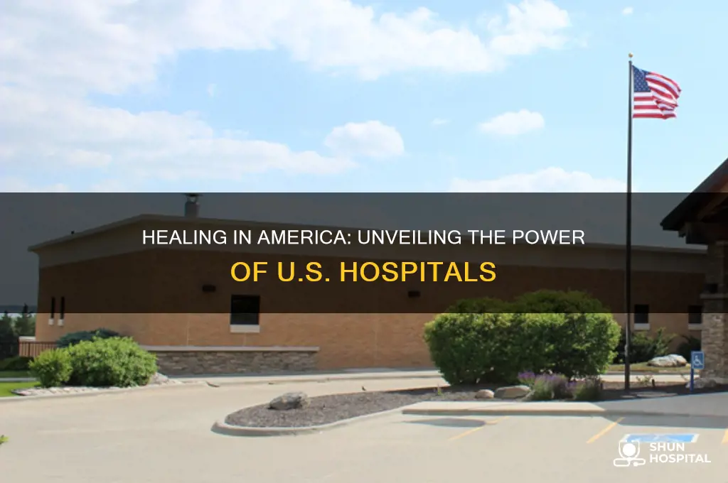 how american hospitals heal us
