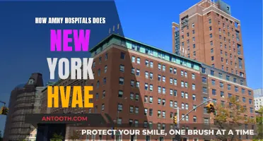 Exploring New York's Extensive Hospital Network