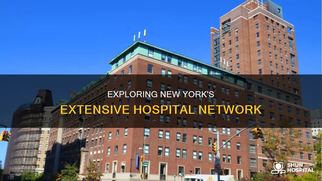 how amny hospitals does new york hvae