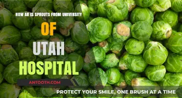 University of Utah Hospital Pioneers AR Sprouts for Healthcare Innovation