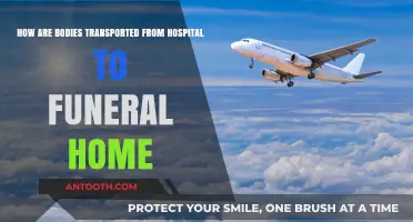 From Hospital to Funeral Home: The Process of Body Transportation