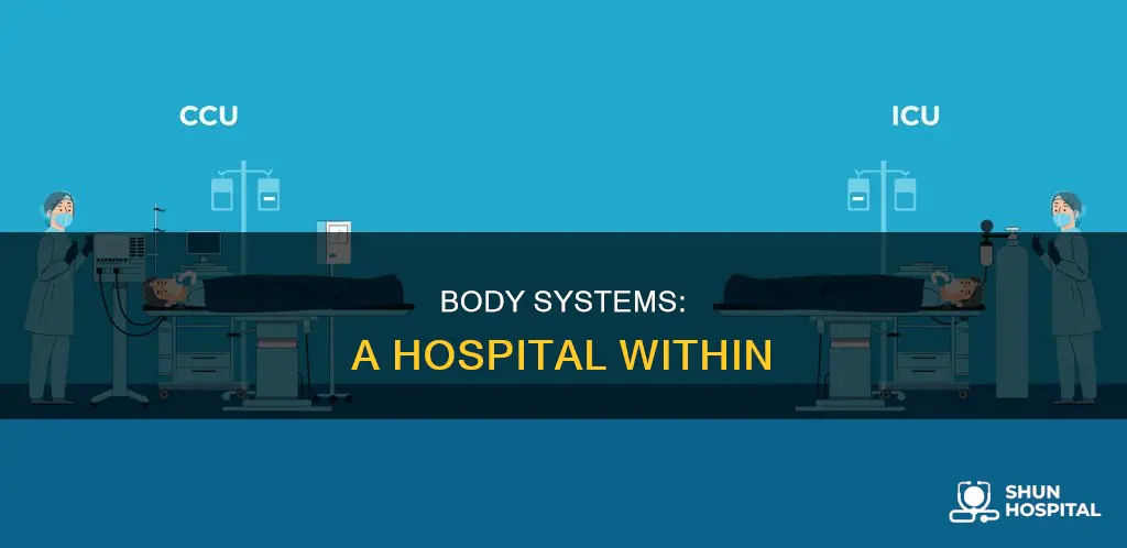 how are body systems like a hospital