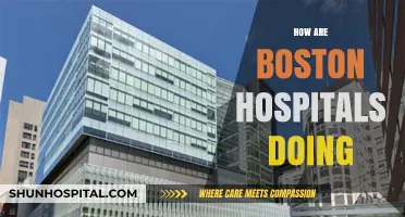 Boston Hospitals' Performance: Innovations, Challenges, and Patient Outcomes Today