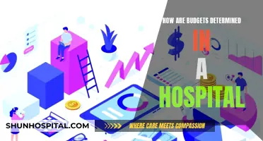 Strategizing Hospital Budgets: Key Factors and Decision-Making