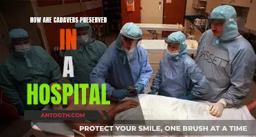 Preserving Cadavers: Techniques Used in Modern Hospitals