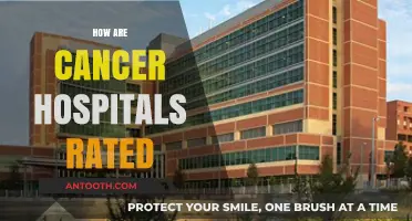 Evaluating Cancer Hospitals: Key Criteria for Quality and Patient Care