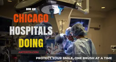 Chicago Hospitals' Performance: Challenges, Innovations, and Patient Care Insights