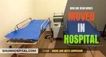 Moving the Deceased: Hospital Protocol for Body Transportation