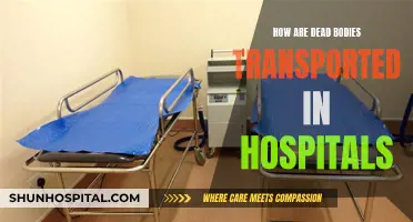 The Logistics of Moving the Deceased in Hospitals