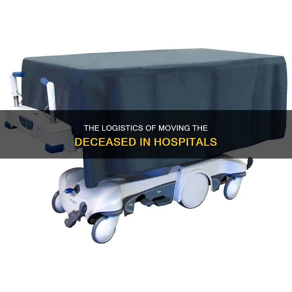 how are dead bodies transported in hospitals