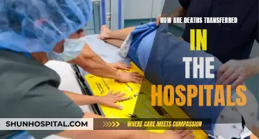 The Hospital's Quiet Transfer: Death's Quiet Journey