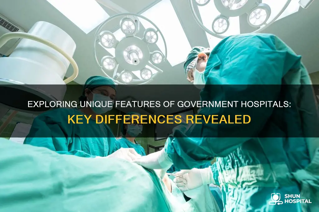 how are government hospitals different