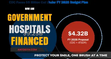 Understanding Government Hospital Funding: Sources, Allocation, and Financial Sustainability