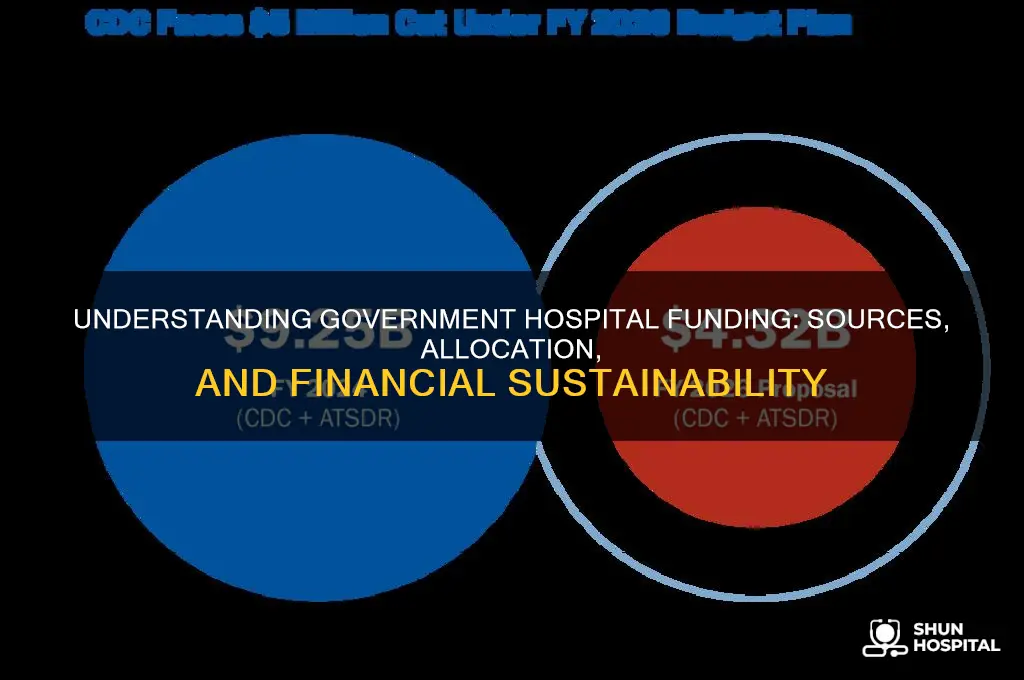 how are government hospitals financed