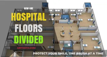 Understanding Hospital Floor Divisions: A Comprehensive Layout Guide