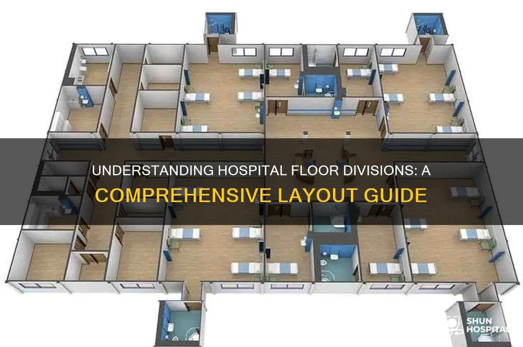 how are hospital floors divided