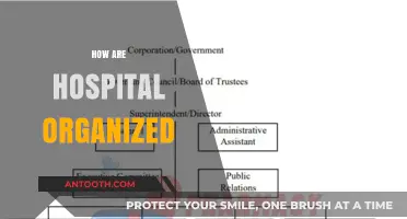 Understanding Hospital Organization: Structure, Departments, and Efficient Patient Care