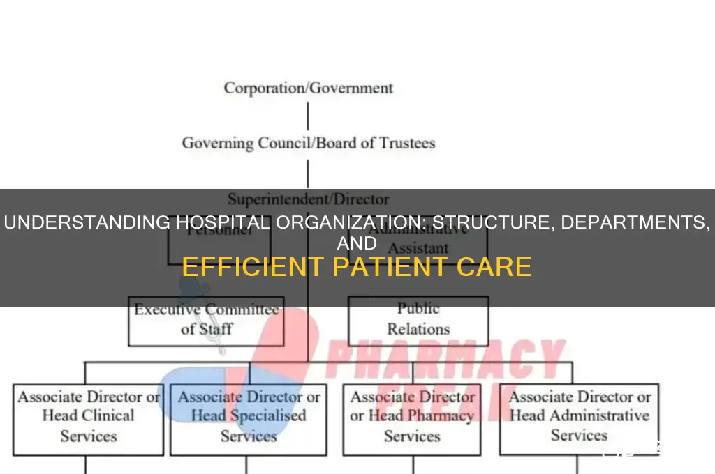 how are hospital organized
