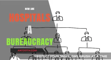 Hospitals as Bureaucracies: Structure, Challenges, and Patient Impact Explained