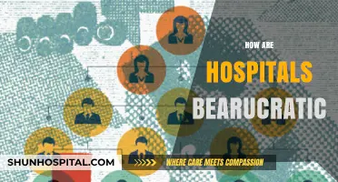 Unraveling Hospital Bureaucracy: Complexities, Challenges, and Patient Care Impact