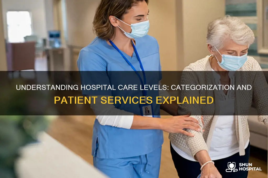 how are hospitals categorized by their level of care