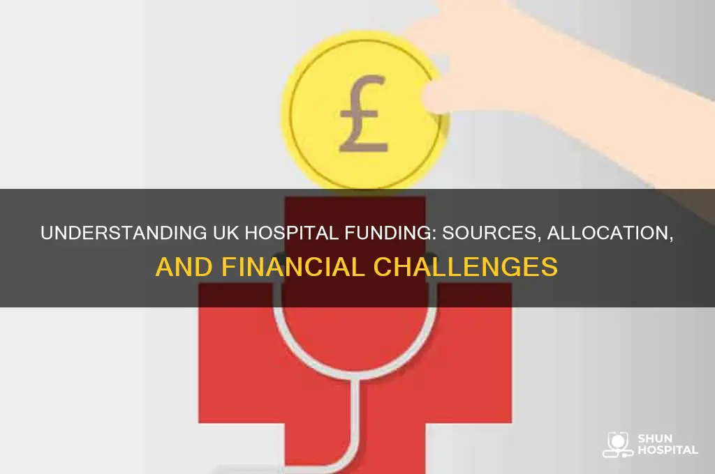 how are hospitals funded uk