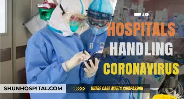 Hospitals' Strategies: Managing Coronavirus Challenges and Patient Care