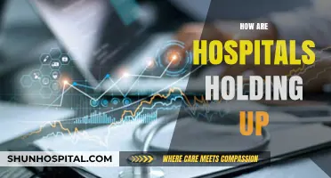 Hospitals Under Pressure: Resilience and Challenges in Modern Healthcare