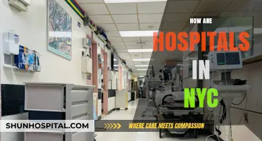 Exploring NYC Hospitals: Quality, Accessibility, and Patient Experiences