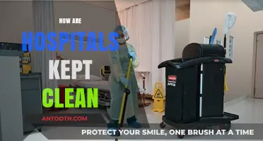 Maintaining Hospital Hygiene: Essential Cleaning Practices for Patient Safety