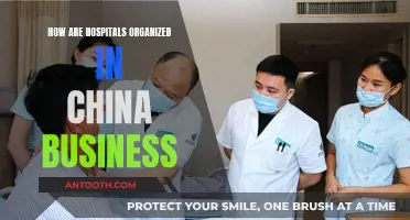China's Healthcare System: Hospitals' Business Organization