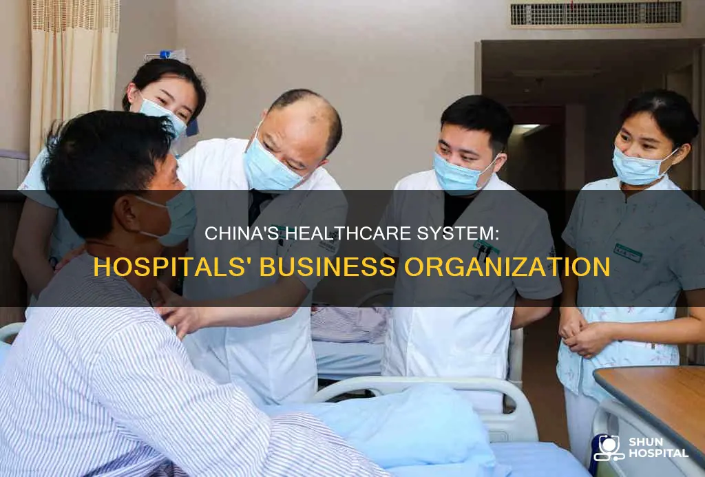 how are hospitals organized in china business