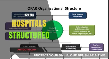 Understanding Hospital Structure: Departments, Hierarchy, and Operational Framework Explained