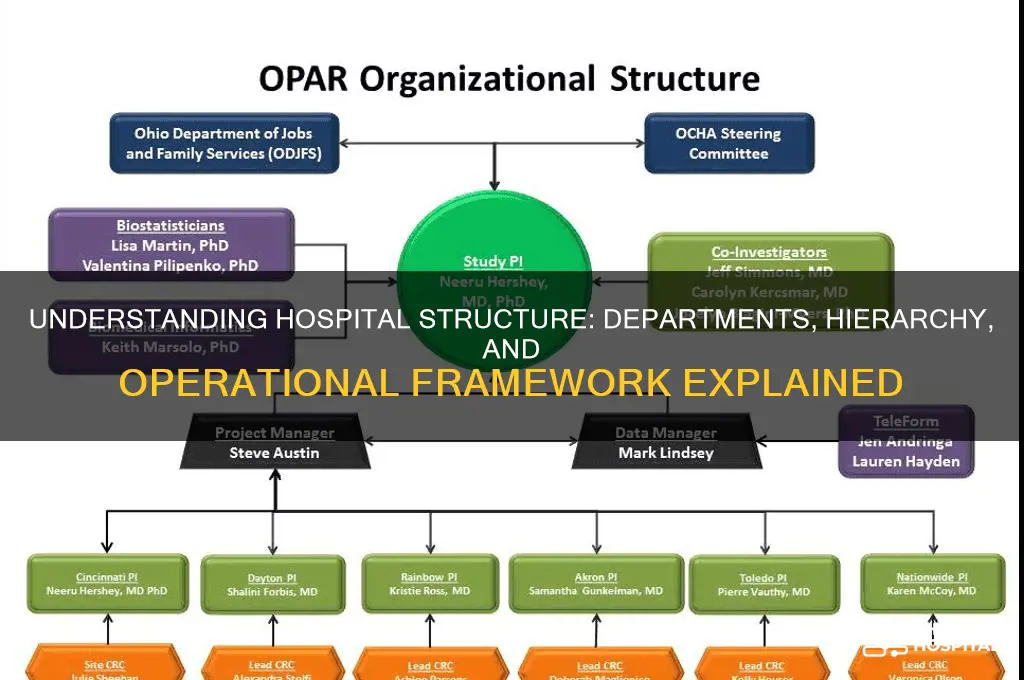 how are hospitals structured