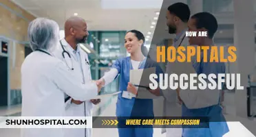 Strategies for Hospital Success: Key Factors Driving Excellence in Healthcare