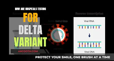 Testing Strategies for the Delta Variant: A Hospital Guide