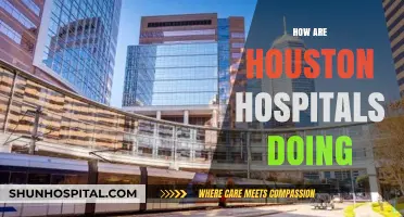 Houston Hospitals' Performance: Challenges, Innovations, and Patient Care Insights