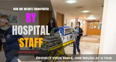 Safe Infant Transportation: Hospital Protocol and Procedure
