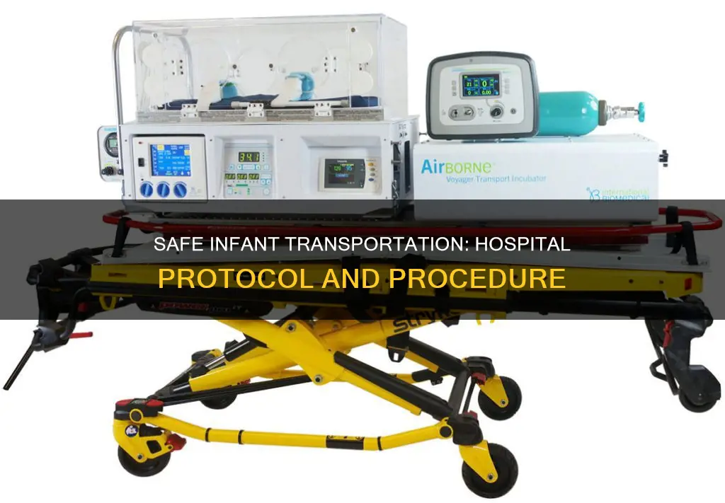 how are infants transported by hospital staff
