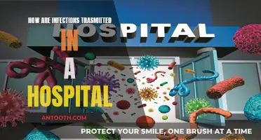 Preventing Hospital-Acquired Infections: Understanding Transmission Risks