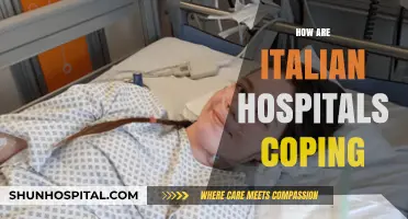 Italian Hospitals Under Pressure: Strategies for Coping with Healthcare Demands