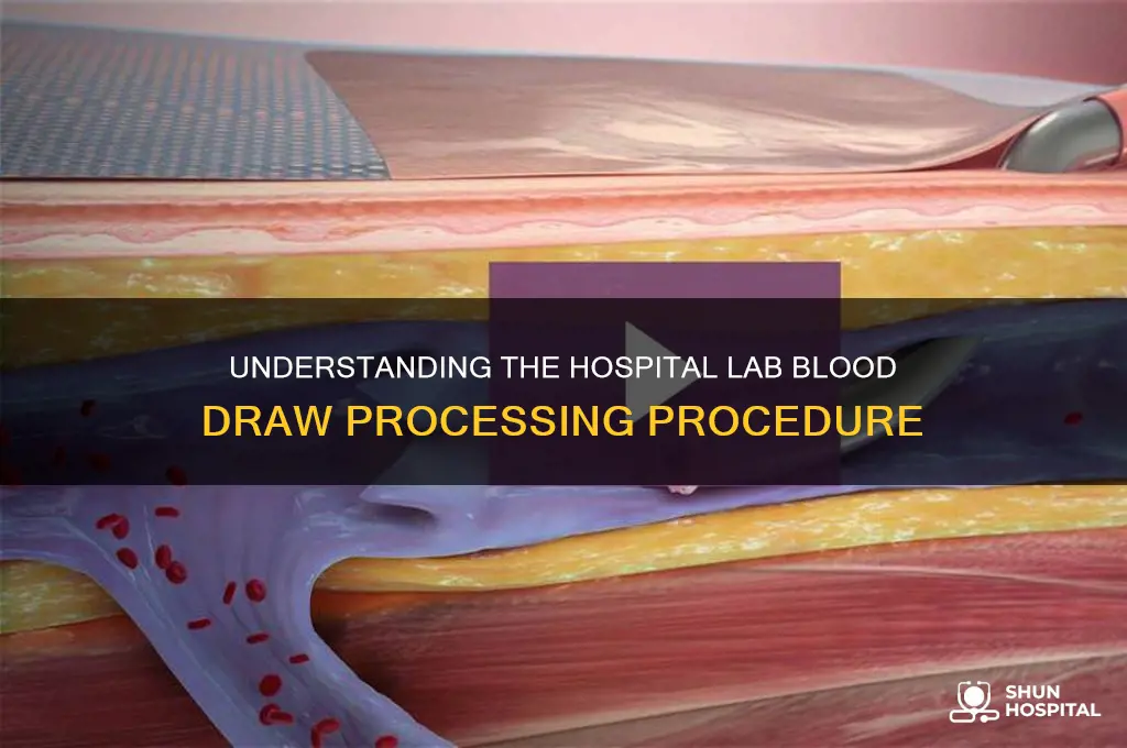 how are lab blood draws processed in a hospital